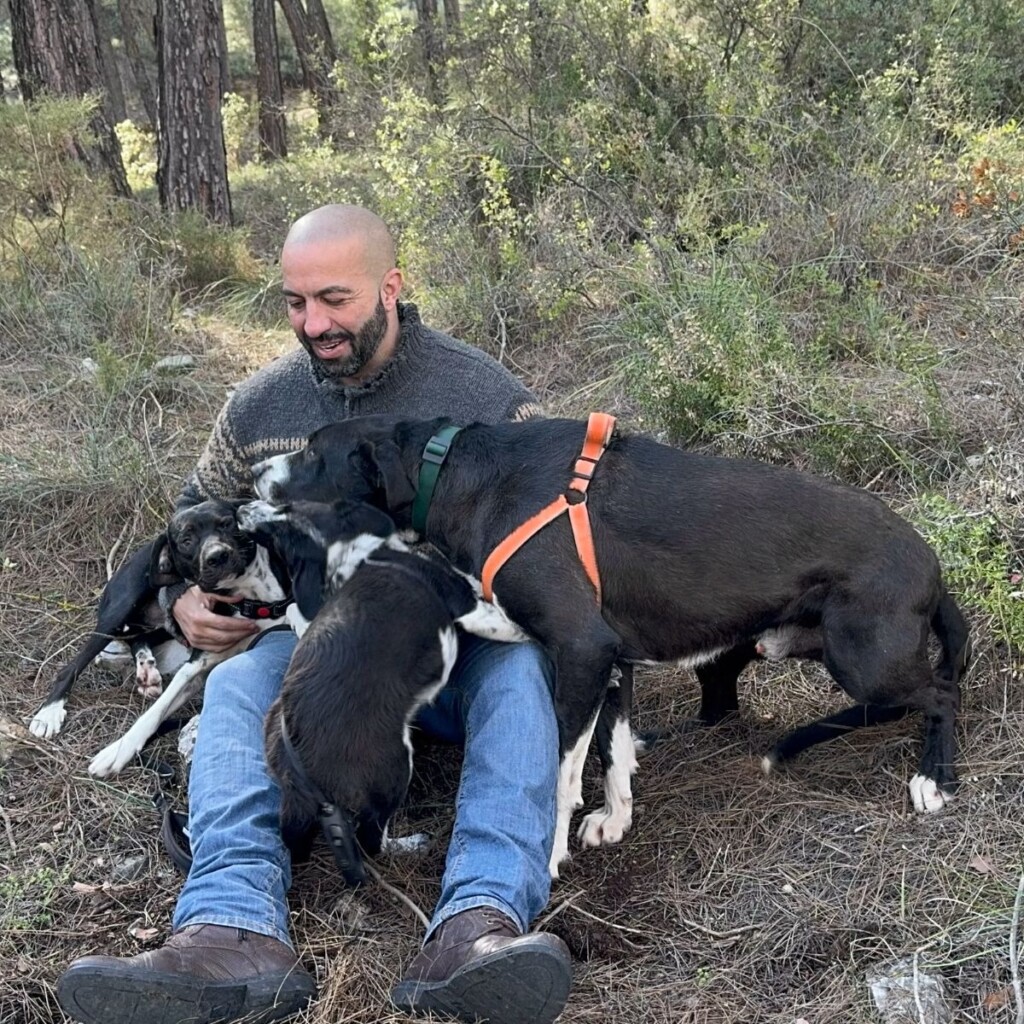 Cómo ahorrar en comida ayuda a George a salvar perros callejeros en Turquía
